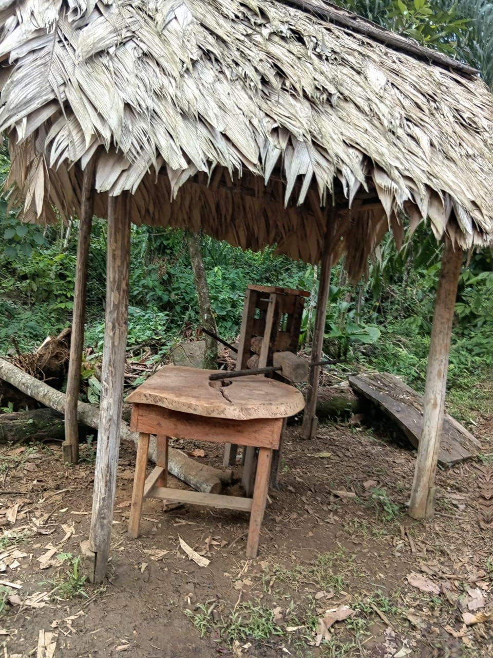 Trapiche de madera bajo un techo de hoja de palma